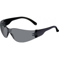 Veiligheidsbril Daylight Basic EN 166 beugel zwart, ring smoke polycarbonaat PRO