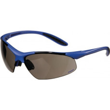 Veiligheidsbril DAYLIGHT PREMIUM EN 166 beugel donkerblauw, ring smoke polycarbo