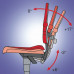 Werkdraaistoel Sintec C wielen polypropyleen grijs 430-580 mm BIMOS